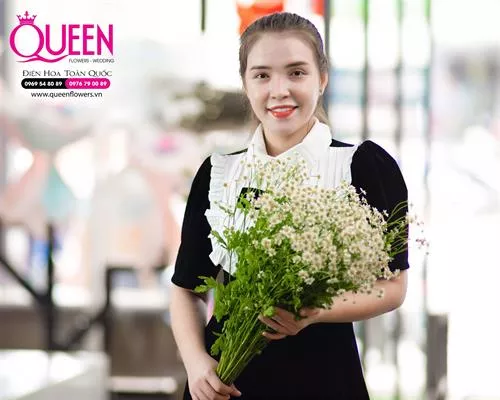 Cúc Tana Ý Nghĩa Và Biểu Tượng