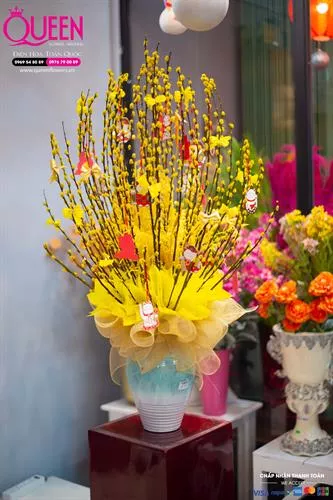 Tết này có nên trưng Nụ Tầm Xuân Không? Nụ Tầm Xuân Là Gì ?