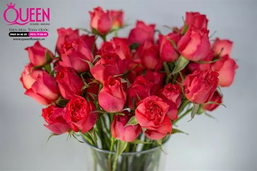 Mẹo giữ hoa tươi lâu - Bạn sẽ bất ngờ đấy !