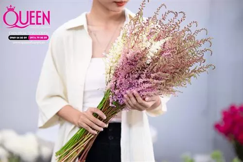 Ý Nghĩa của hoa Astilbe - Một món quà tuyệt vời cho người thân