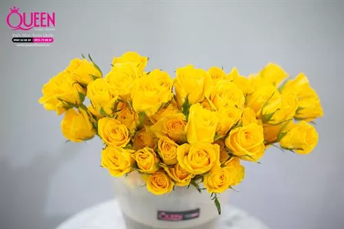 Tính cách người thích màu vàng