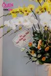 Mẫu Chậu Lan Hồ Điệp Đẹp 018
