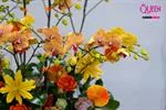 Mẫu Chậu Lan Hồ Điệp Đẹp 023