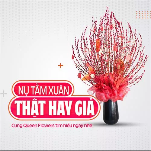 Nụ Tầm Xuân Là Hoa Thật Hay Giả , Ý Nghĩa Nụ Tầm Xuân Là Gì ?