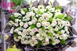 Mẫu Hoa Chia Buồn 104