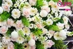 Mẫu Hoa Chia Buồn 104