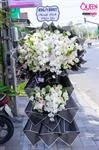 Mẫu Hoa Chia Buồn 103