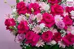 Mẫu Hoa Cắm Hộp Đẹp 189