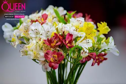 Chính Sách Bảo Hành 
