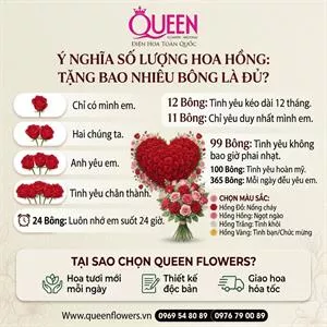 Ý nghĩa số lượng hoa hồng: Tặng bao nhiêu bông là đủ để 