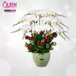 Mẫu Chậu Lan Hồ Điệp Đẹp 013