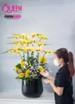 Mẫu Chậu Lan Hồ Điệp Đẹp 015