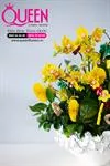 Mẫu Chậu Lan Hồ Điệp Đẹp 016