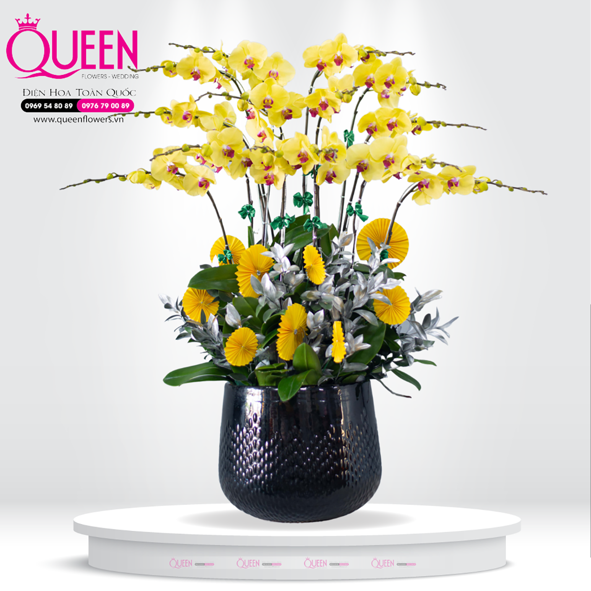 Mẫu Chậu Lan Hồ Điệp Đẹp 015