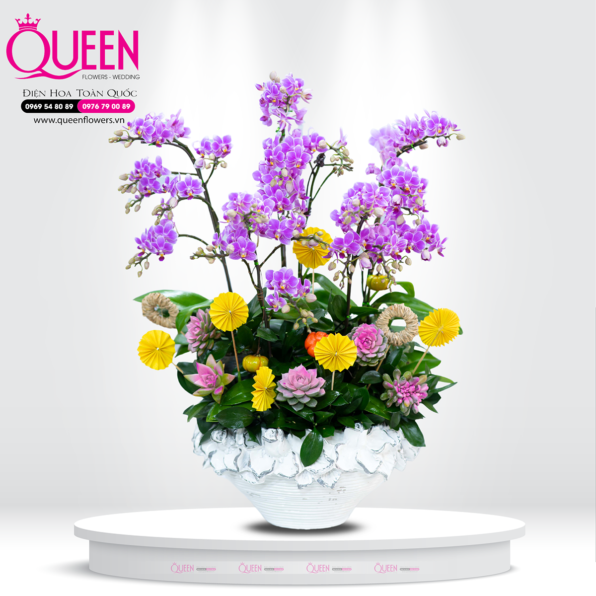 Mẫu Chậu Lan Hồ Điệp Đẹp 024