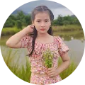 Tường Vi Nguyễn